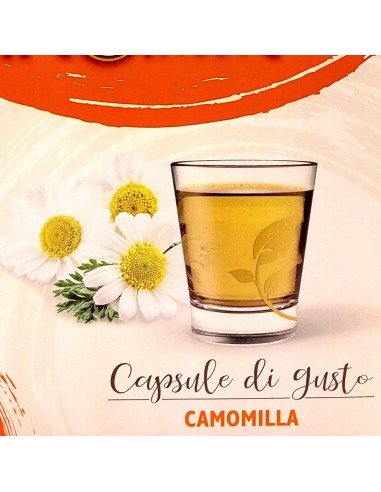 aroma light 30 capsule di gusto - camomilla - nescafe' dolce gusto: tuttocasashop.it: altro - bazar