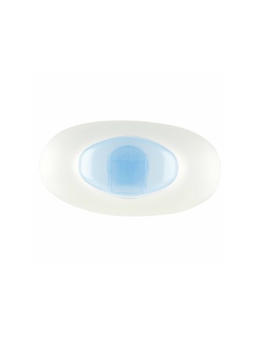 venus bagno doccia crema - 650ml - idrtatante - latte di rido: tuttocasashop.it: igiene e cura della persona