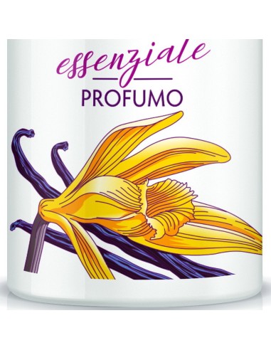 giardino dei sensi deo profumo vapo - 100ml - vaniglia: tuttocasashop.it: igiene e cura della persona