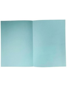 cartellina in cartoncino - formato a4 - celeste: tuttocasashop.it: altro - bazar