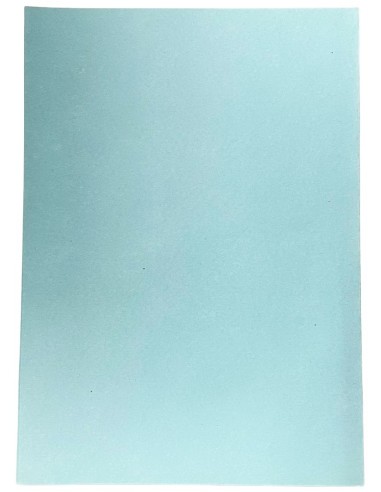 cartellina in cartoncino - formato a4 - celeste: tuttocasashop.it: altro - bazar