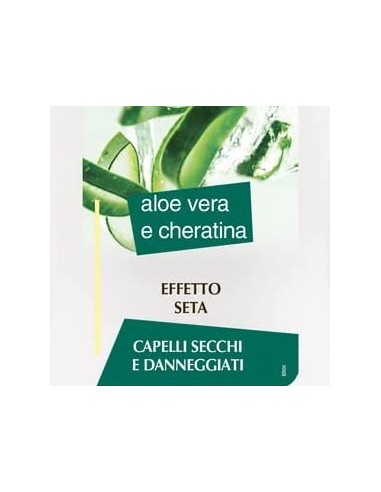 splend'or balsamo per capelli - 300ml - aloe vera e cheratina: tuttocasashop.it: igiene e cura della persona