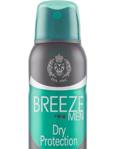 breeze deodorante spray - 150ml - men dry protection - zero alcool e macchie: tuttocasashop.it: igiene e cura della persona