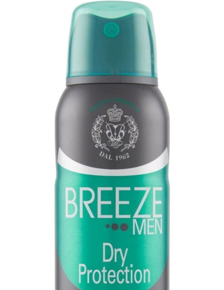 breeze deodorante spray - 150ml - men dry protection - zero alcool e macchie: tuttocasashop.it: igiene e cura della persona