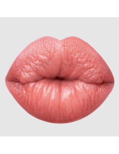 astra madame lipstylo the mat - rossetto stylo effetto mat - 01 nude bijou: tuttocasashop.it: igiene e cura della persona