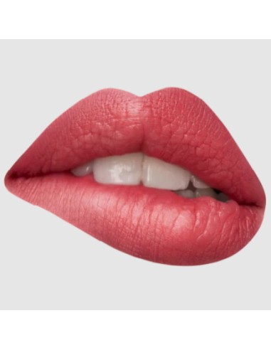 astra madame lipstylo the mat - rossetto stylo effetto mat - 04 peach esprit: tuttocasashop.it: igiene e cura della persona
