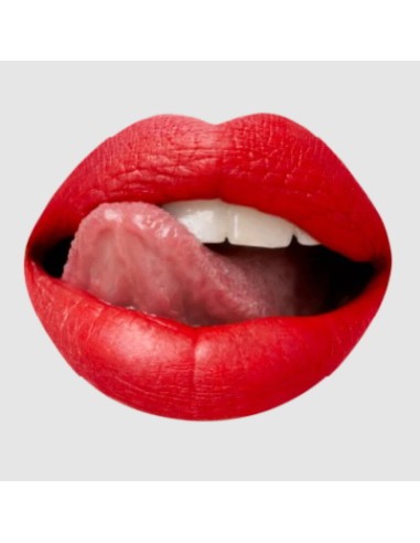 astra madame lipstylo the mat - rossetto stylo effetto mat - 06 red moulin: tuttocasashop.it: igiene e cura della persona