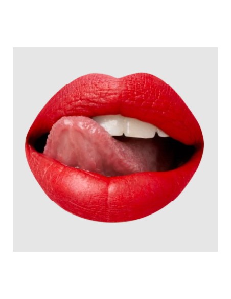 astra madame lipstylo the mat - rossetto stylo effetto mat - 06 red moulin: tuttocasashop.it: igiene e cura della persona