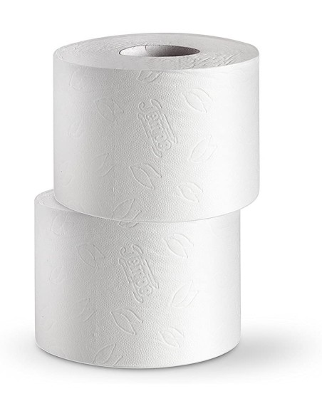 Tempo Carta Igienica Comfort 2 Veli - 4 Maxi Rotoli