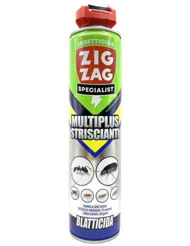zig zag specialist multiplus striscianti 600ml - blatticida - lunga durata: tuttocasashop.it: pulizia e cura della casa