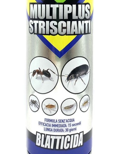 zig zag specialist multiplus striscianti 600ml - blatticida - lunga durata: tuttocasashop.it: pulizia e cura della casa