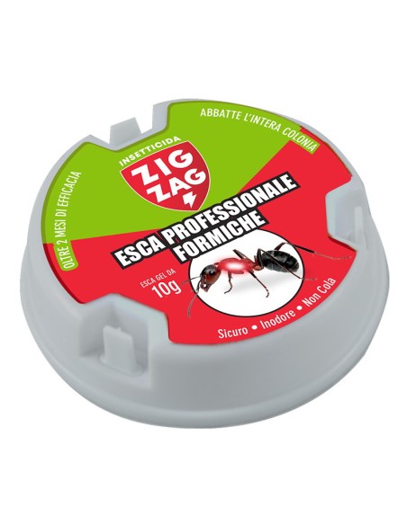 zig zag esca professionale formiche - gel 10g - 2 mesi di efficacia: tuttocasashop.it: pulizia e cura della casa