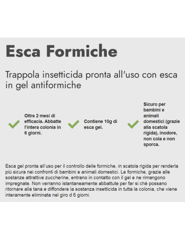zig zag esca professionale formiche - gel 10g - 2 mesi di efficacia: tuttocasashop.it: pulizia e cura della casa
