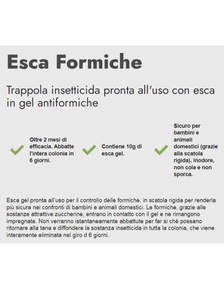 zig zag esca professionale formiche - gel 10g - 2 mesi di efficacia: tuttocasashop.it: pulizia e cura della casa