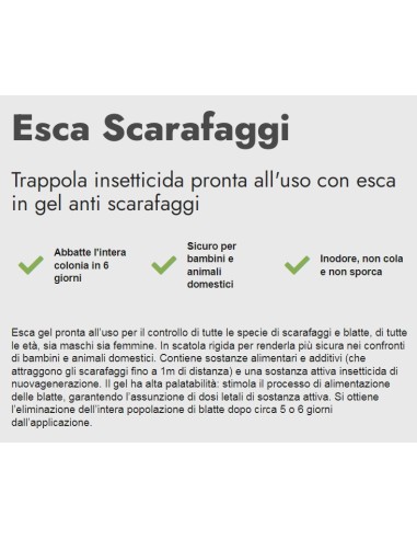 zig zag esca professionale blatte e scarafaggi - gel 4g - sicuro inodore: tuttocasashop.it: pulizia e cura della casa