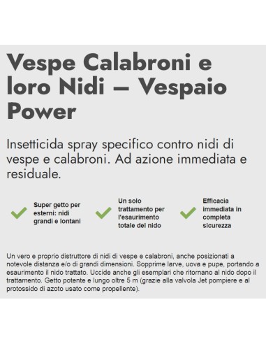 zig zag vespaio power insetticida vespe calabroni e loro nidi - 600ml: tuttocasashop.it: pulizia e cura della casa