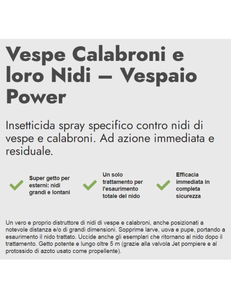 zig zag vespaio power insetticida vespe calabroni e loro nidi - 600ml: tuttocasashop.it: pulizia e cura della casa