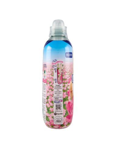 coccolino ammorbidente concentrato - xxl 76 lavaggi 1750ml - seta: tuttocasashop.it: prodotti per bucato e tessuti