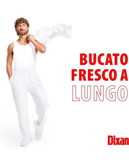 dixan detersivo lavatrice liquido 19 lavaggi - 950ml - lavanda: tuttocasashop.it: prodotti per bucato e tessuti