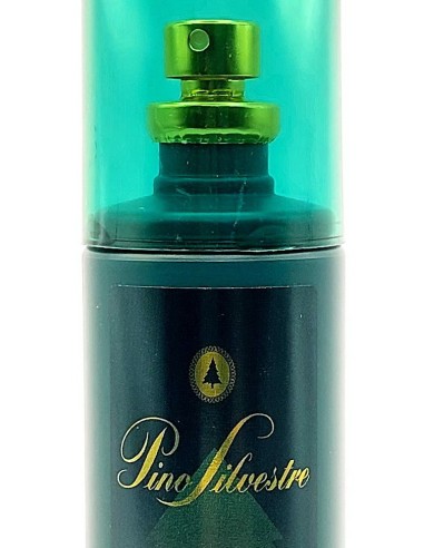pino silvestre deo profumo natural vapo 125ml - classico - uomo: tuttocasashop.it: igiene e cura della persona