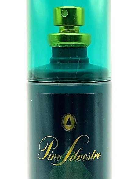 pino silvestre deo profumo natural vapo 125ml - classico - uomo: tuttocasashop.it: igiene e cura della persona