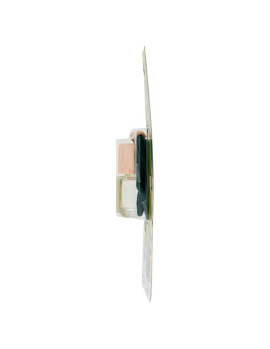 Arbre Magique Fresh Passion Forest Breeze 1 pezzo
