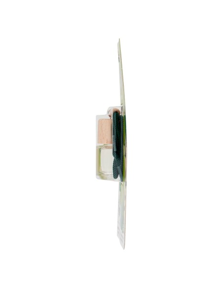 Arbre Magique Fresh Passion Forest Breeze 1 pezzo