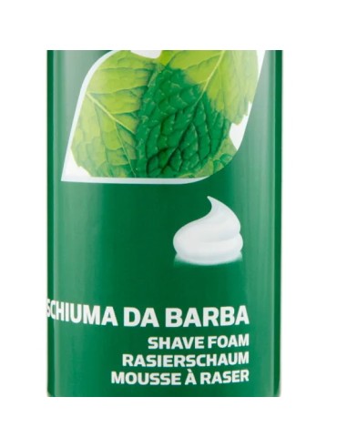 palmolive schiuma da barba 300ml - rinfrescante al mentolo: tuttocasashop.it: igiene e cura della persona