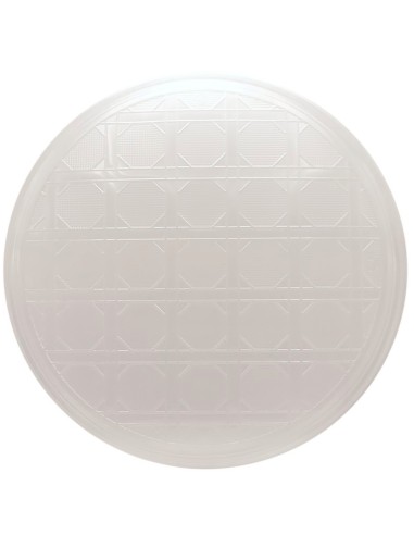 vip 12 piatti pizza in plastica riutilizzabili diametro 33cm - trasparenti: tuttocasashop.it: carta & monouso