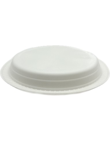 salento 66 piatti monouso plastica extra rigidi diametro 22cm - 1kg - piani: tuttocasashop.it: carta & monouso