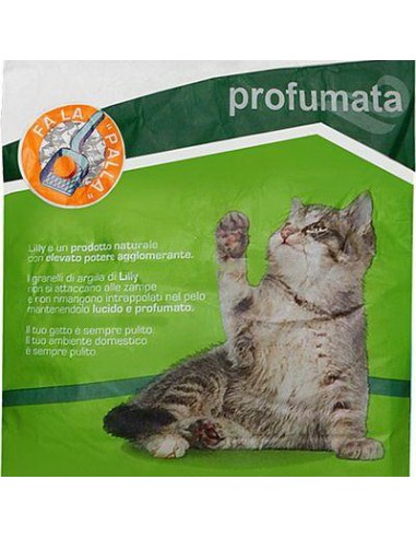 lilly lettiera per gatti sacco da 5kg - profumata: tuttocasashop.it: altro - bazar