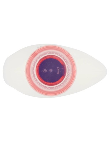 dixan detersivo lavatrice liquido 19 lavaggi - 950ml - lavanda: tuttocasashop.it: prodotti per bucato e tessuti