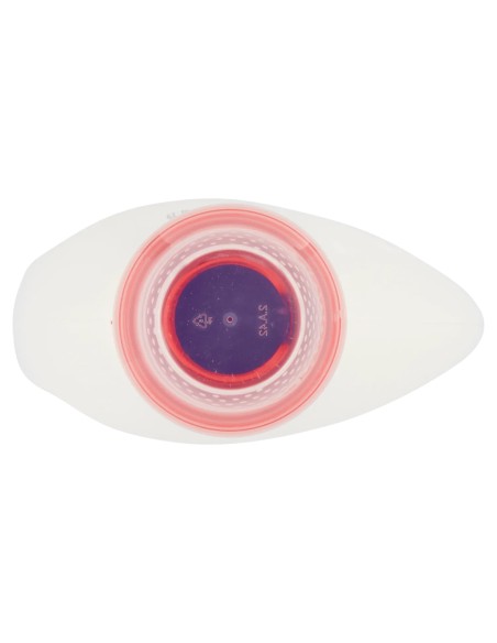 dixan detersivo lavatrice liquido 19 lavaggi - 950ml - lavanda: tuttocasashop.it: prodotti per bucato e tessuti