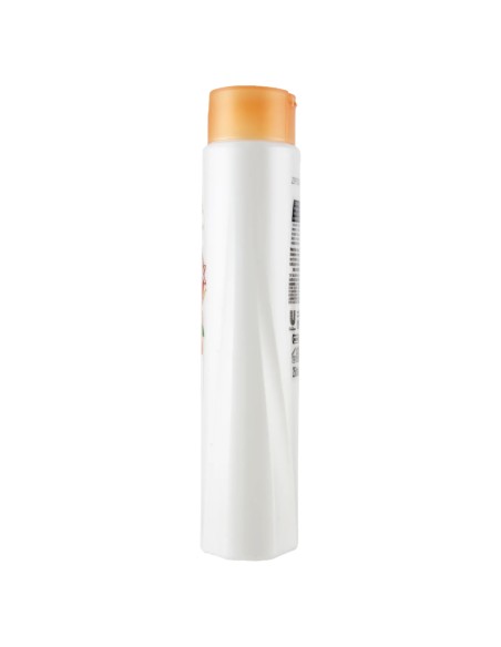 sunsilk shampoo 250ml - olio di argan e di mandorle - capelli fragili: tuttocasashop.it: igiene e cura della persona