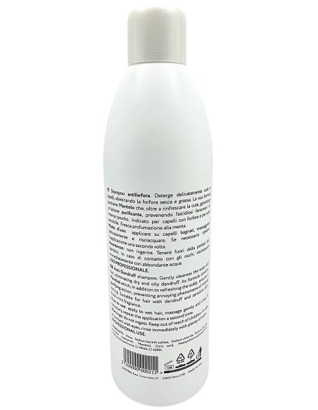 struktis shampoo professionale 1000ml - menta: tuttocasashop.it: igiene e cura della persona