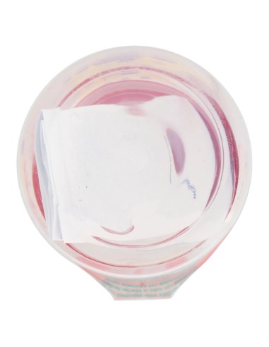 neobaby biberon in plastica collo largo - 150ml - 0m+ - dino rosa: tuttocasashop.it: igiene e cura della persona