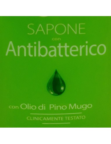 pino silvestre sapone liquido 300ml - antibatterico - pure fresh: tuttocasashop.it: igiene e cura della persona