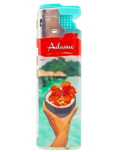adamo accendino elettronico antivento ricaricabile - colori assortiti - b25: tuttocasashop.it: altro - bazar