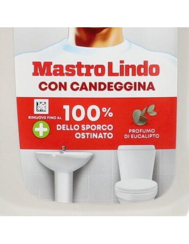 mastrolindo spray 500ml - con candeggina - extra potere igienizzante: tuttocasashop.it: pulizia e cura della casa