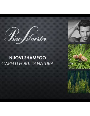 pino silvestre shampoo 250ml - fortificante - creatina e ginepro rosso: tuttocasashop.it: igiene e cura della persona