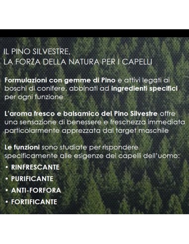 pino silvestre shampoo 250ml - fortificante - creatina e ginepro rosso: tuttocasashop.it: igiene e cura della persona