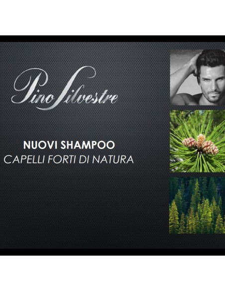 pino silvestre shampoo 250ml - purificante sebo regolatore - eucaliptus: tuttocasashop.it: igiene e cura della persona