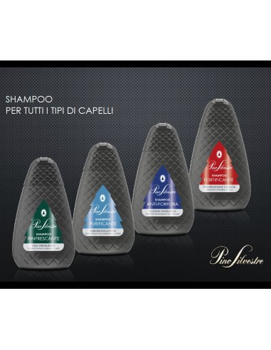 pino silvestre shampoo 250ml - purificante sebo regolatore - eucaliptus: tuttocasashop.it: igiene e cura della persona