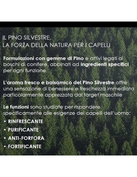 pino silvestre shampoo 250ml - purificante sebo regolatore - eucaliptus: tuttocasashop.it: igiene e cura della persona