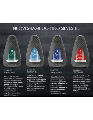 pino silvestre shampoo 250ml - purificante sebo regolatore - eucaliptus: tuttocasashop.it: igiene e cura della persona