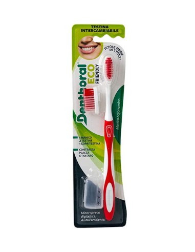 denthoral eco friendly - spazzolino con testina di ricambio e capsula setole: tuttocasashop.it: igiene e cura della persona