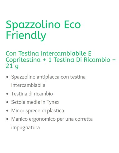 denthoral eco friendly - spazzolino con testina di ricambio e capsula setole: tuttocasashop.it: igiene e cura della persona