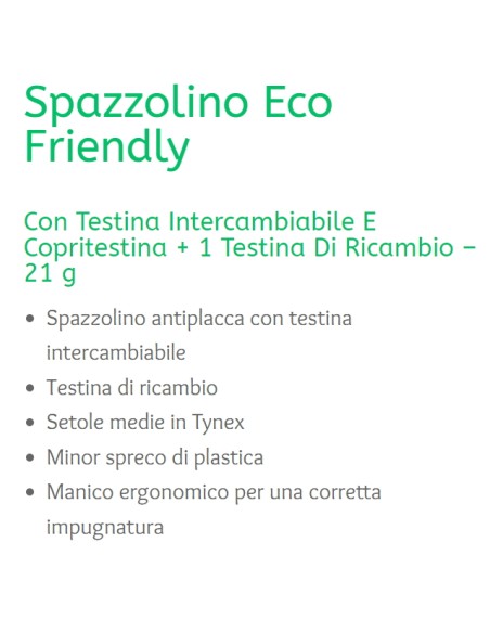 denthoral eco friendly - spazzolino con testina di ricambio e capsula setole: tuttocasashop.it: igiene e cura della persona