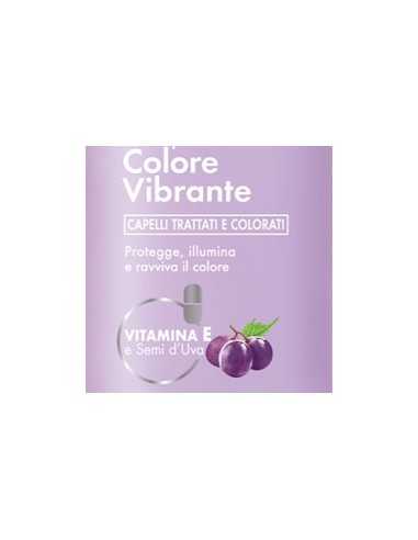 venus shampoo 250ml - colore vibrante - capelli trattati e colorati: tuttocasashop.it: igiene e cura della persona