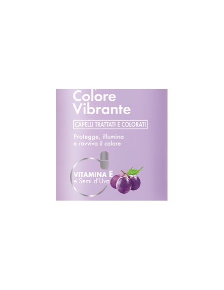 venus shampoo 250ml - colore vibrante - capelli trattati e colorati: tuttocasashop.it: igiene e cura della persona